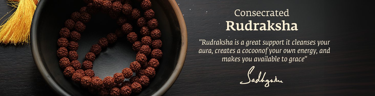 Rudraksha Mala & Beads