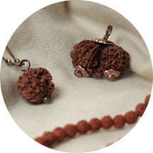 Rudraksha