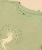 Organic Unisex T Shirt Harvest Green 9-10 yrs