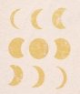  Melange T-shirt Moon Ecru with Gold 11-12 yrs
