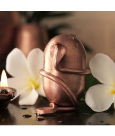 Jeevarasam. Consecrate water at home. Unique design.  Exclusive Isha Product. To be placed inside copper pots.