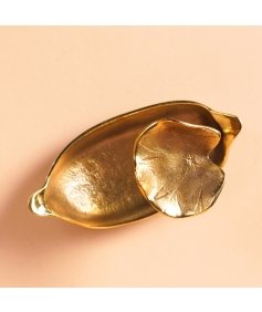 Spring in a Pod - Brass Decorative (large)