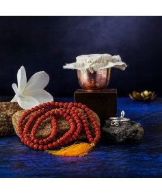 Consecrated Rudraksha Gift Set with Silver Sarpa sutra 