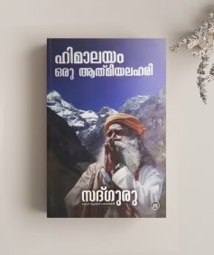 ഹിമാലയം ഒരു ആത്മീയലഹരി (Himalayan Lust, Malayalam Edition)  