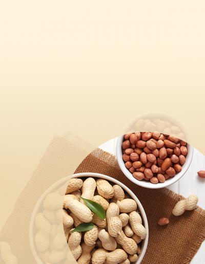 Groundnuts